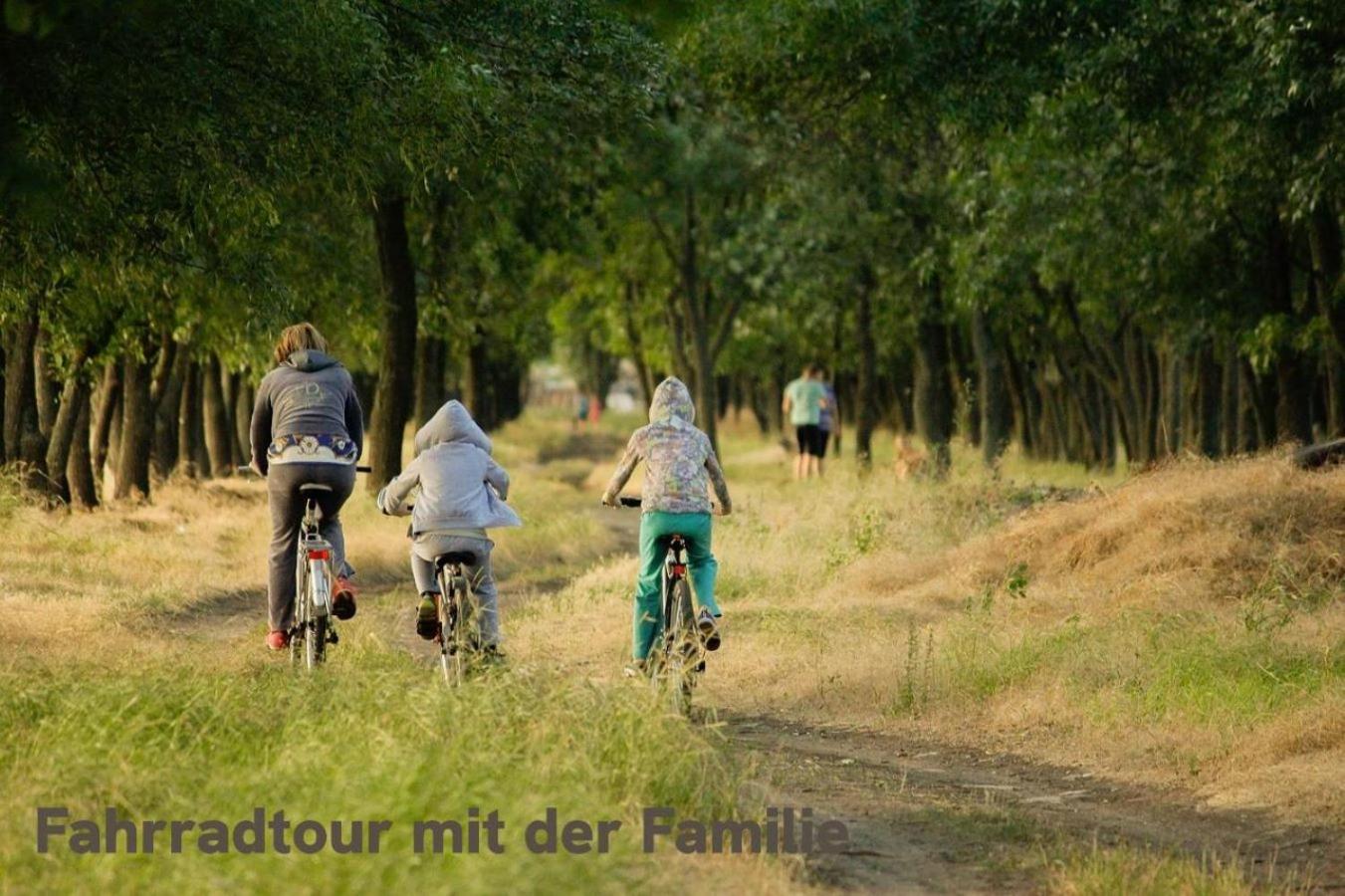 "Lilie" In Geestland-Langen, Ideal Fuer Familien & Homeoffice - Wlan & Parkplatz - 3 Zimmer, Balkon - Nahe Bremerhaven Kültér fotó
